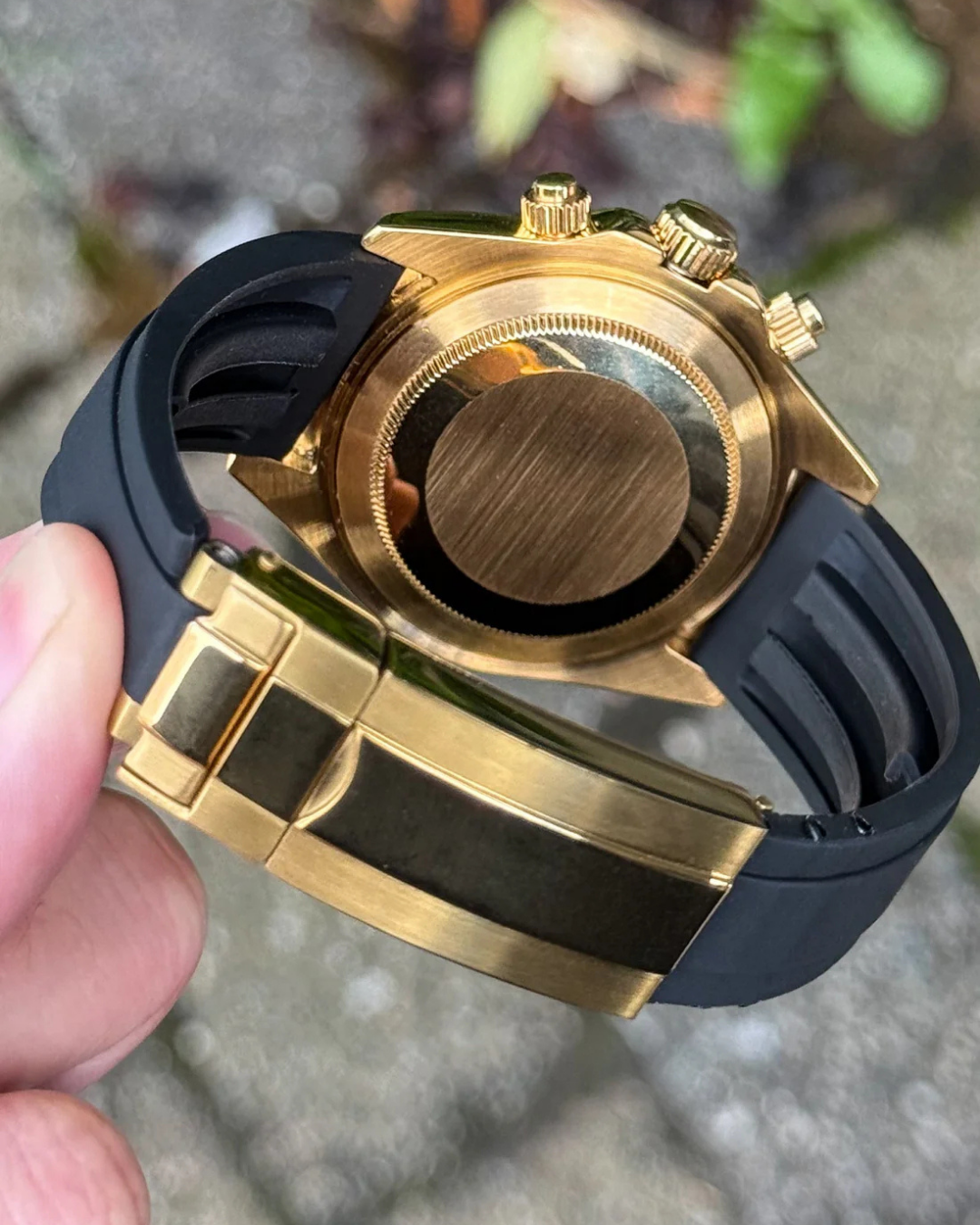 Sietona | Eye Of The Tiger