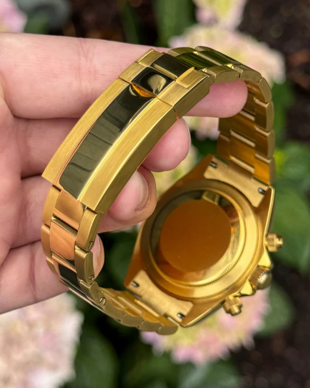 Sietona | Gold Meteorite