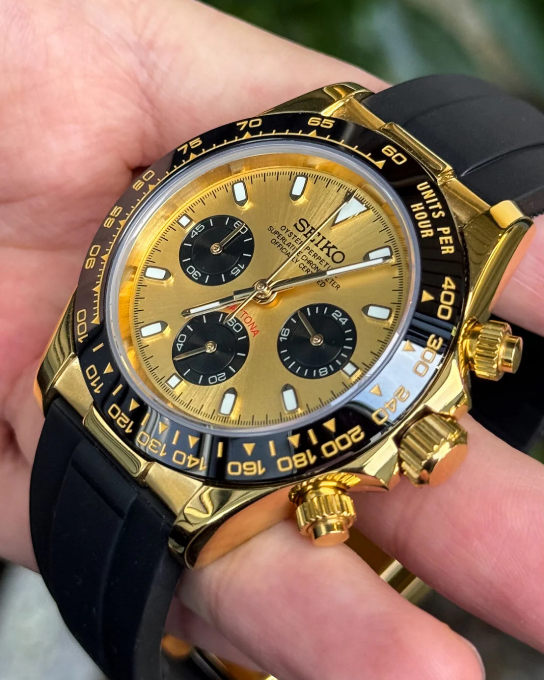 Sietona | Black Gold 2