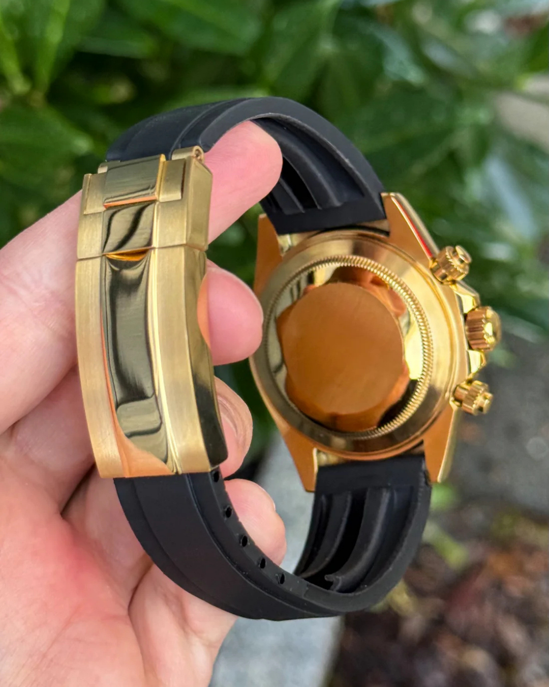 Sietona | Black Gold 2